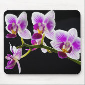 Tapis De Souris Orchidée blanche et violette (Devant)