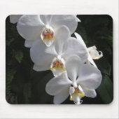 Tapis De Souris Orchidée blanche Mousepad (Devant)