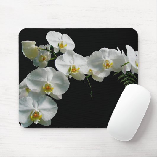 Tapis De Souris Orchidée blanche Mousepad (Avec souris)