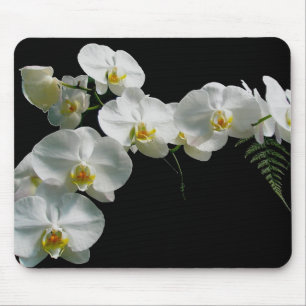 Tapis De Souris Orchidée blanche Mousepad