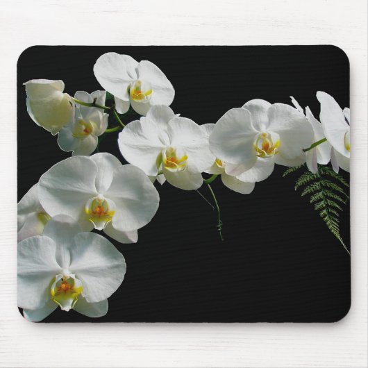 Tapis De Souris Orchidée blanche Mousepad (Devant)