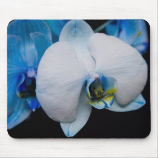 Tapis De Souris Orchidée bleue Mousepad