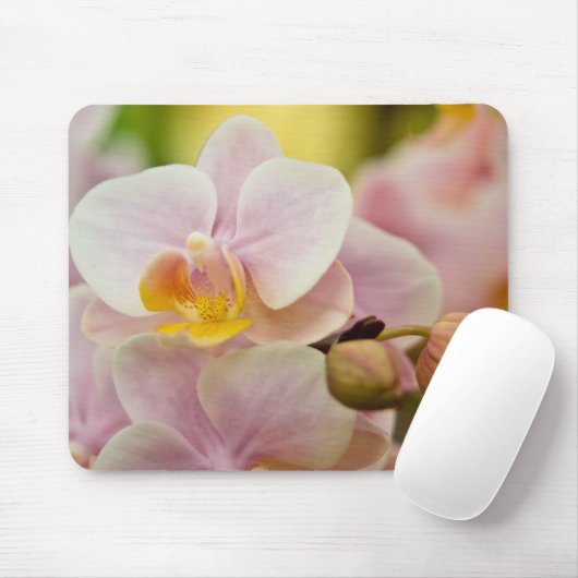 Tapis De Souris Orchidée de Phalaenopsis (Avec souris)