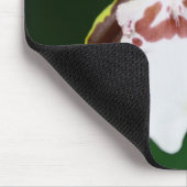 Tapis De Souris Orchidée de Zygopetalum (Coin)