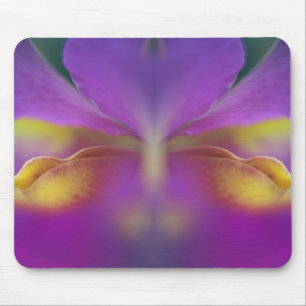 Tapis De Souris Orchidée hybride, Floride 2
