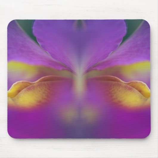 Tapis De Souris Orchidée hybride, Floride 2 (Devant)