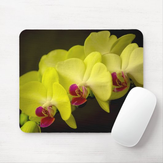 Tapis De Souris Orchidée jaune - Mousepad (Avec souris)