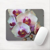 Tapis De Souris Orchidée miniature (Avec souris)
