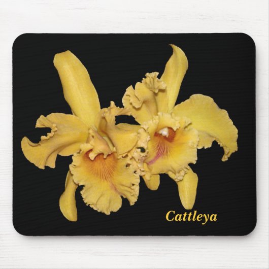 Tapis De Souris Orchidée Mousepad de Cattleya (Devant)