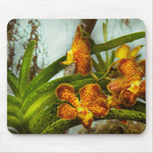 Tapis De Souris Orchidée - Oncidium - Mûri