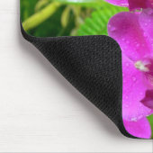 Tapis De Souris Orchidée pourpre (Coin)