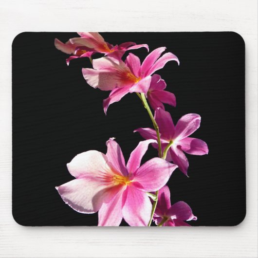 Tapis De Souris Orchidée rose (Devant)