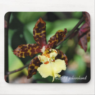 Tapis De Souris Orchidée tachetée jaune de Gardenfest 2011