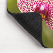 Tapis De Souris Orchidée tachetée rose (Coin)