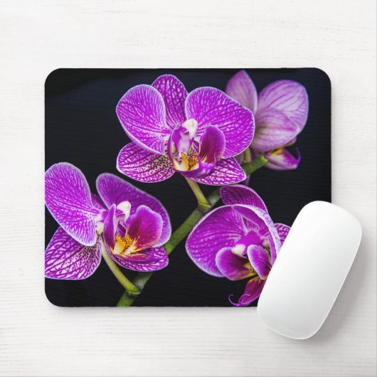 Tapis De Souris Orchidée violette (Avec souris)