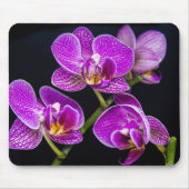 Tapis De Souris Orchidée violette (Devant)