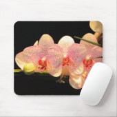Tapis De Souris orchidées (Avec souris)