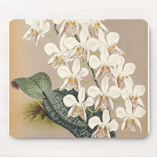 Tapis De Souris Orchidées (Devant)