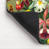 Tapis De Souris Orchidées (Coin)