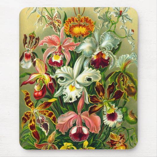 Tapis De Souris Orchidées (Devant)