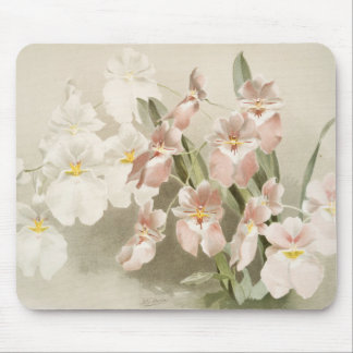 Tapis De Souris Orchidées blanches Fleur Vintage vieille illustrat