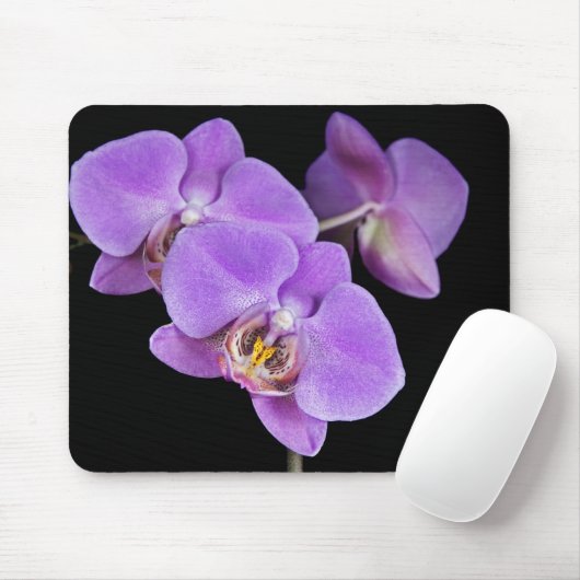 Tapis De Souris Orchidées de printemps (Avec souris)