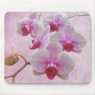 Tapis De Souris Orchidées de teigne rose - Phalaenopsis