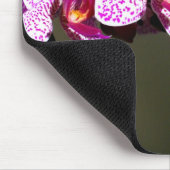 Tapis De Souris Orchidées roses (Coin)