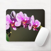Tapis De Souris Orchidées roses (Avec souris)