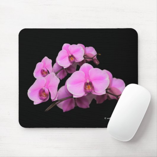 Tapis De Souris Orchidées roses élégantes Phalaenopsis Fleurs sur (Avec souris)