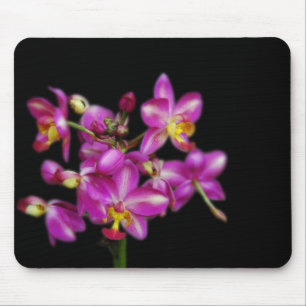 Tapis De Souris Orchidées violettes sur fond noir