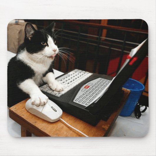 TAPIS DE SOURIS ORDINATEUR CAT MOUSEPAD (Devant)