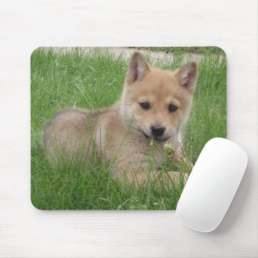 Tapis De Souris Ordinateur mignon Mousepad de chiot (Avec souris)
