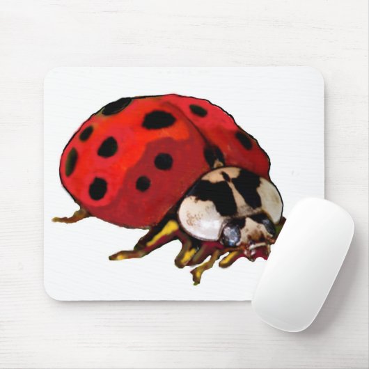 Tapis De Souris Ordinateur portable (Avec souris)