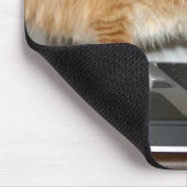 Tapis De Souris Ordinateur tabby orange (Coin)