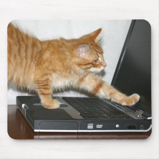 Tapis De Souris Ordinateur tabby orange (Devant)