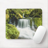 Tapis De Souris Oregon, Cascade de Willamette (Avec souris)
