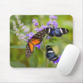 Tapis De Souris oregon, usa (Avec souris)