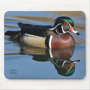 Tapis De Souris Oreillers à tambour pour canard à bois mâle