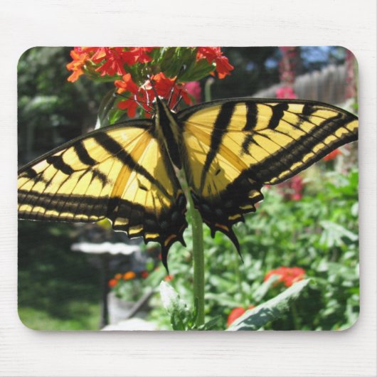 Tapis de souris oriental de papillon de machaon de (Devant)