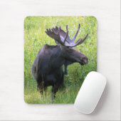 Tapis De Souris Orignaux de Taureau (Avec souris)