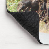 Tapis De Souris Orignaux semi-transparents Mousepad (Coin)