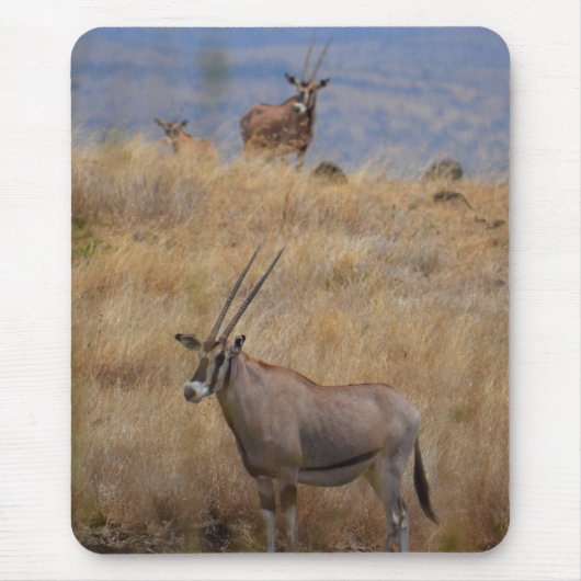 Tapis De Souris Oryx en Afrique Mousepad (Devant)
