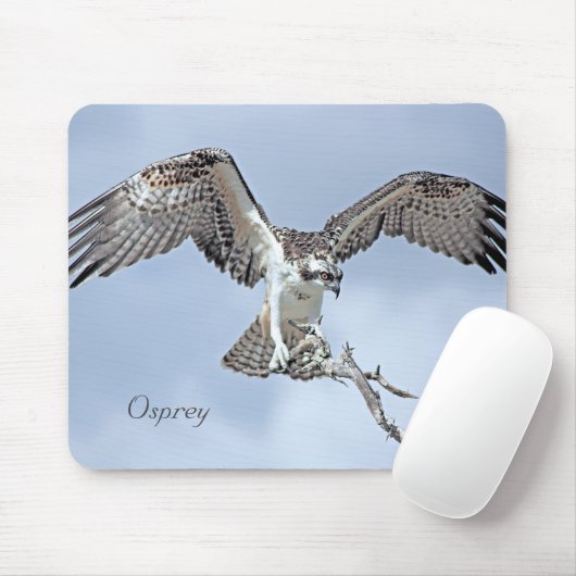 Tapis De Souris Osprey Wingspan Mousepad (Avec souris)