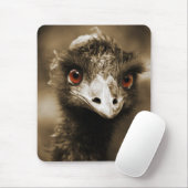 Tapis De Souris Ostriches Look mousepad (Avec souris)