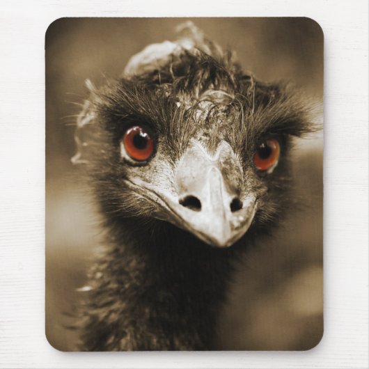 Tapis De Souris Ostriches Look mousepad (Devant)