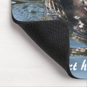 Tapis de souris Otaries (Coin)