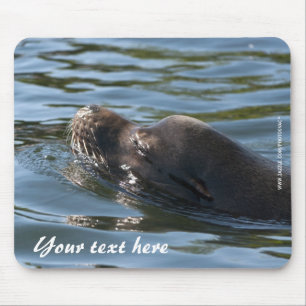 Tapis de souris Otaries