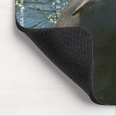 Tapis de souris Otaries (Coin)