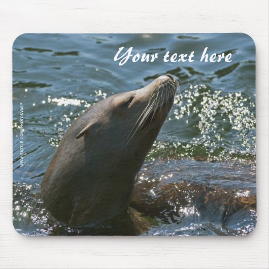 Tapis de souris Otaries (Devant)
